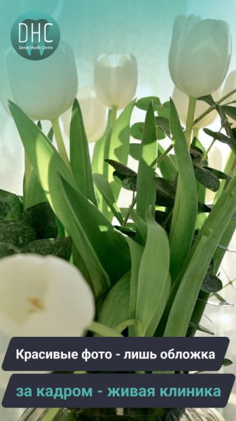 Красивые фото - это лишь обложка, а за кадром - живая клиника